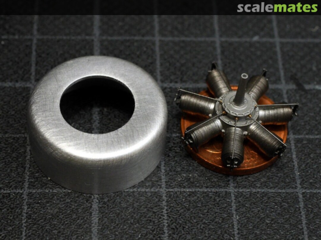 View album, image #14 View album, image #14