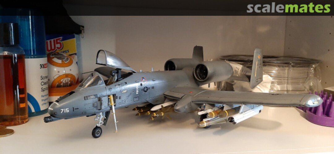 View album, image #1