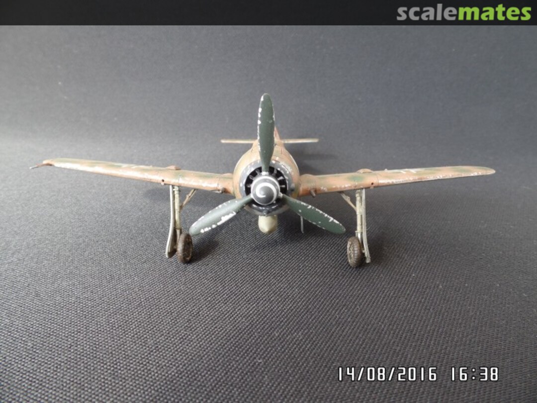 View album, image #1 View album, image #1