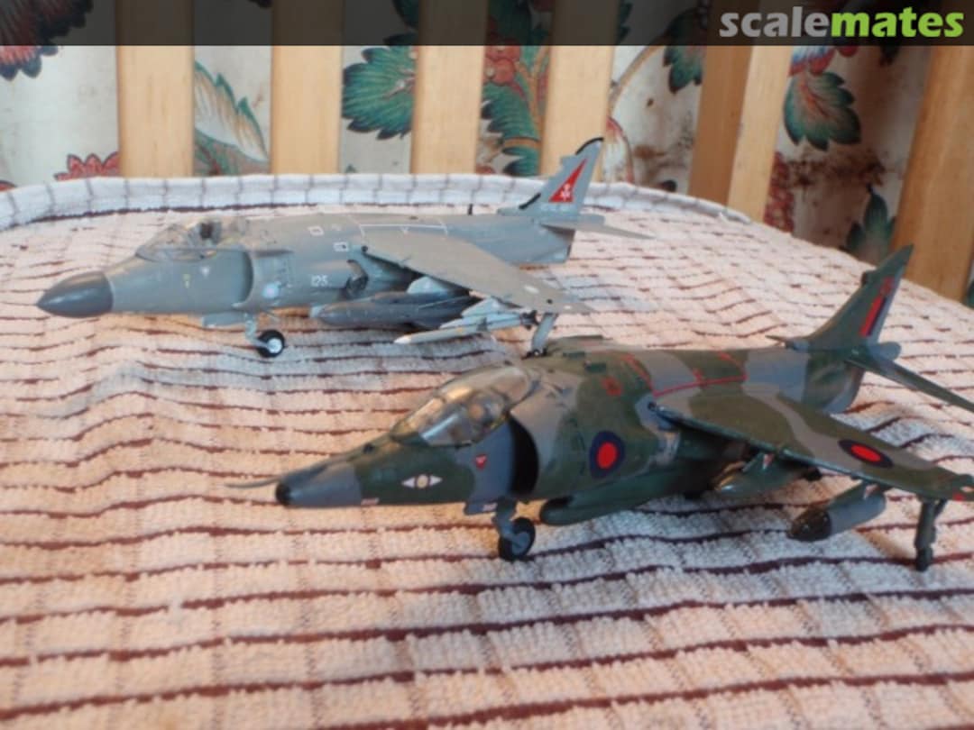 View album, image #1