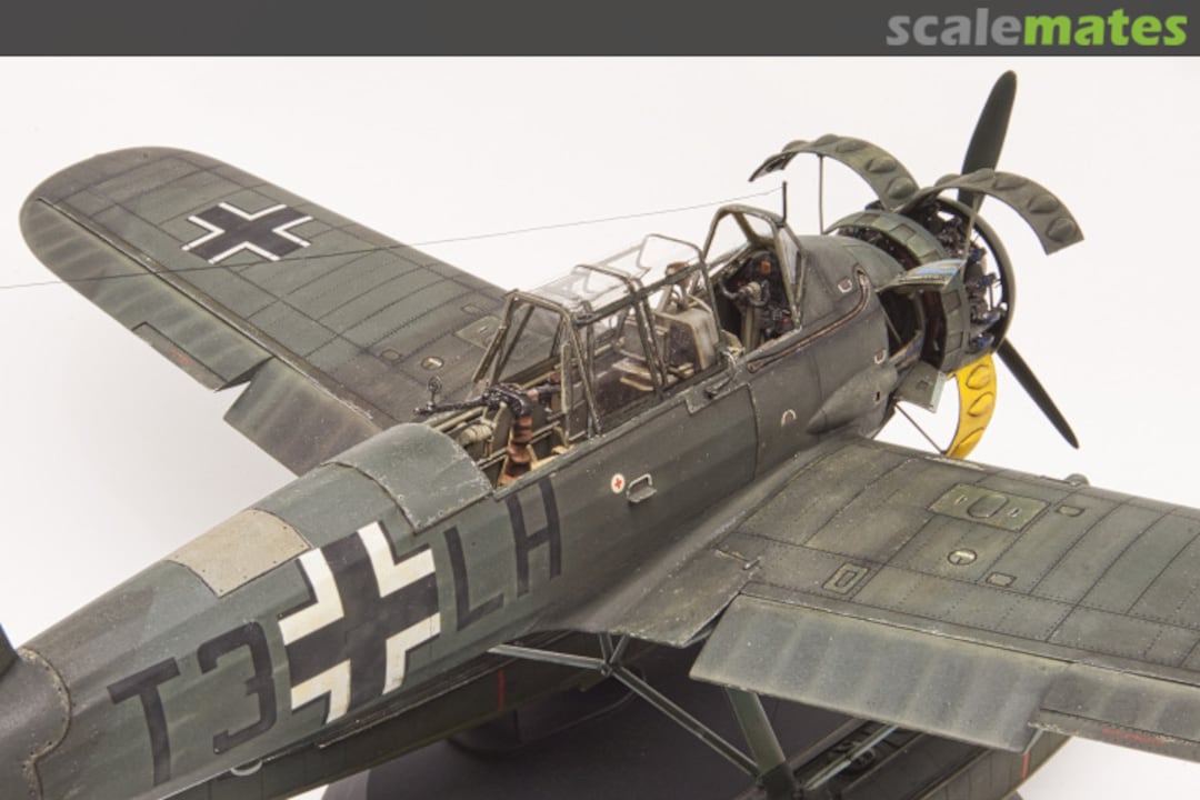 View album, image #9 View album, image #9