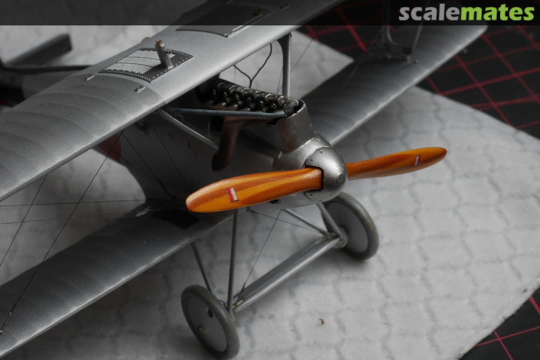 View album, image #74 View album, image #74