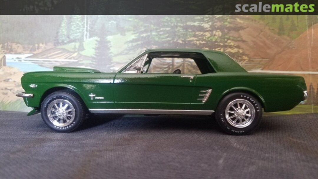 View album, image #6 View album, image #6