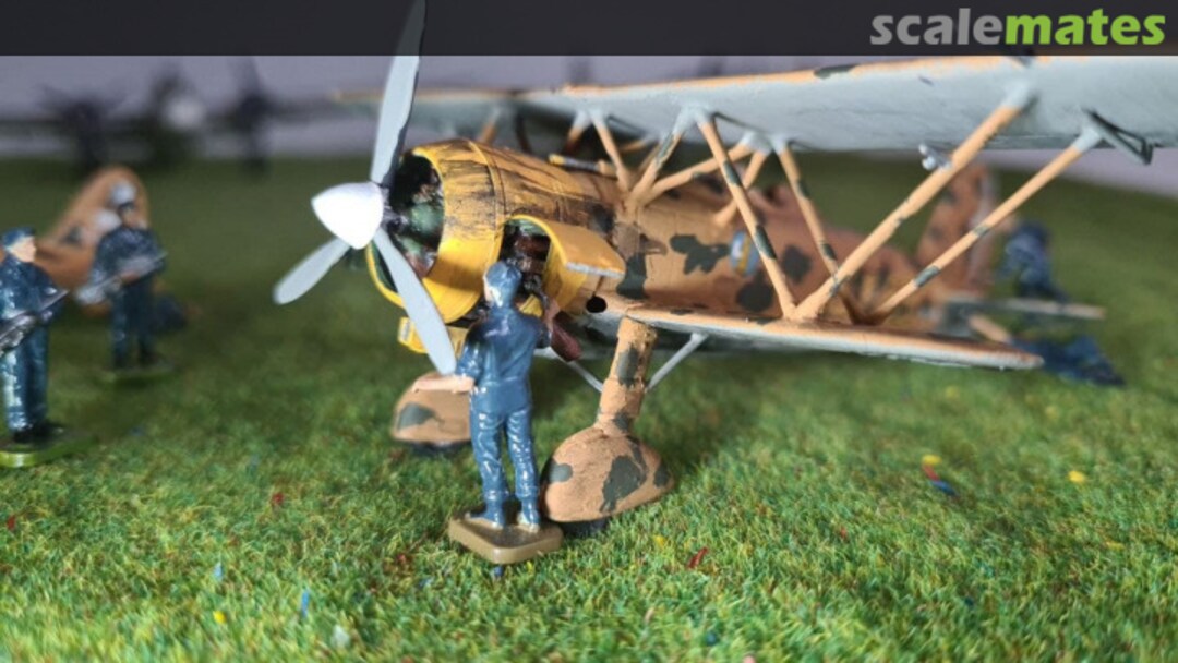 View album, image #38 View album, image #38