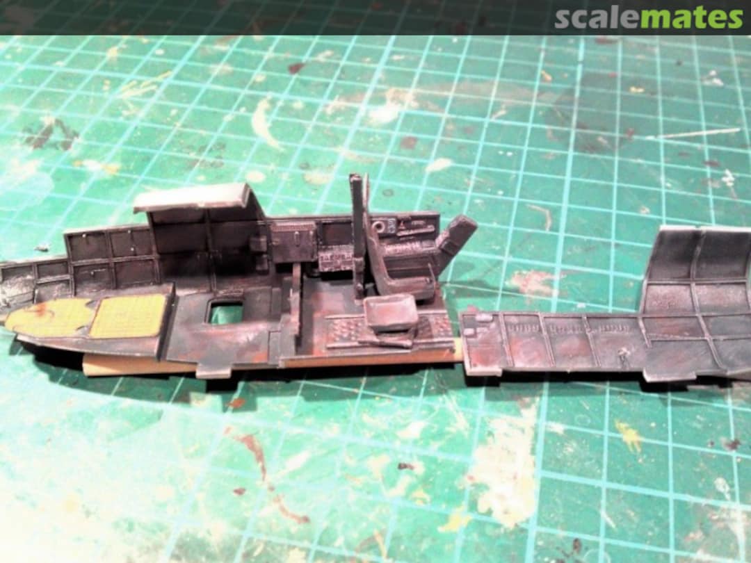 View album, image #1 View album, image #1