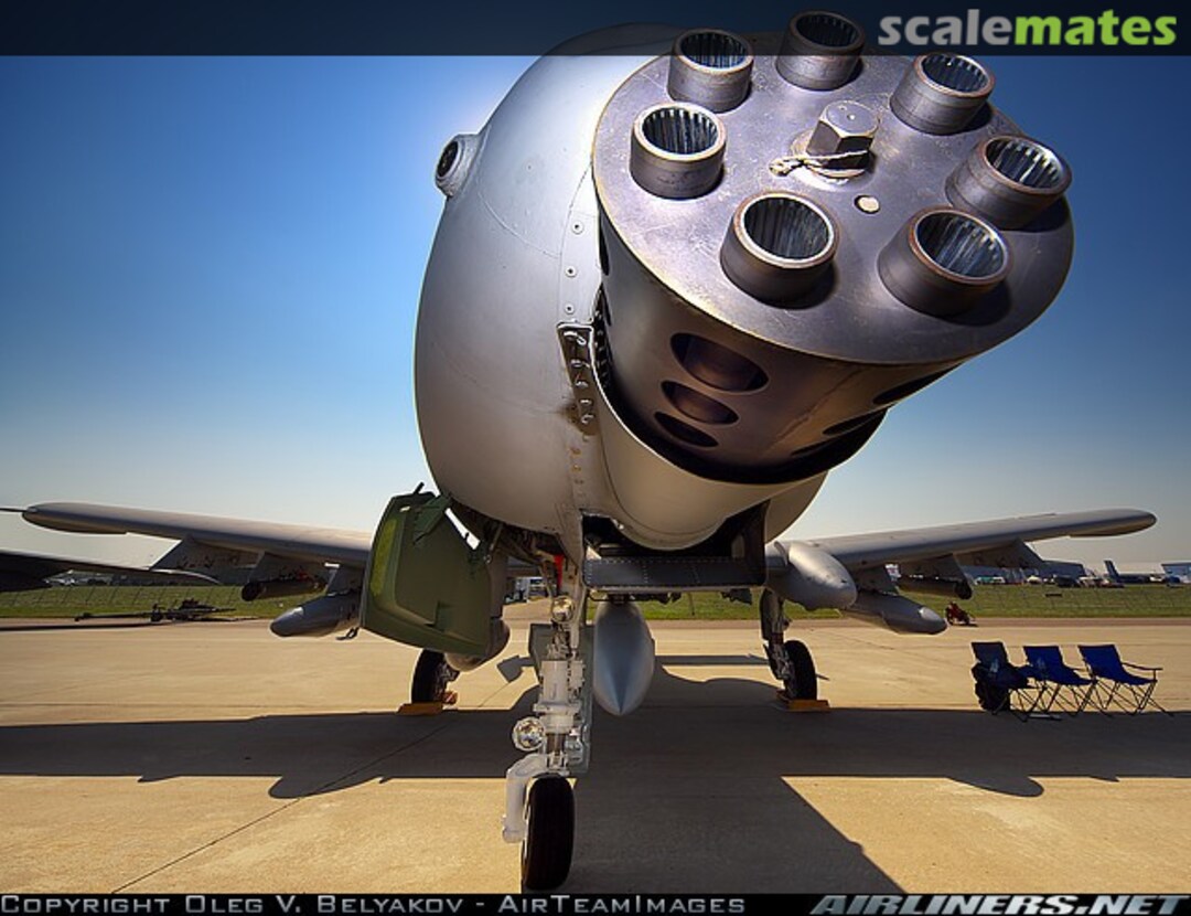 View album, image #1