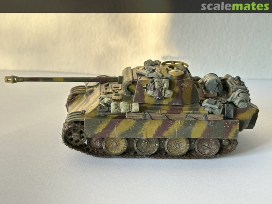 View album, image #5 View album, image #5