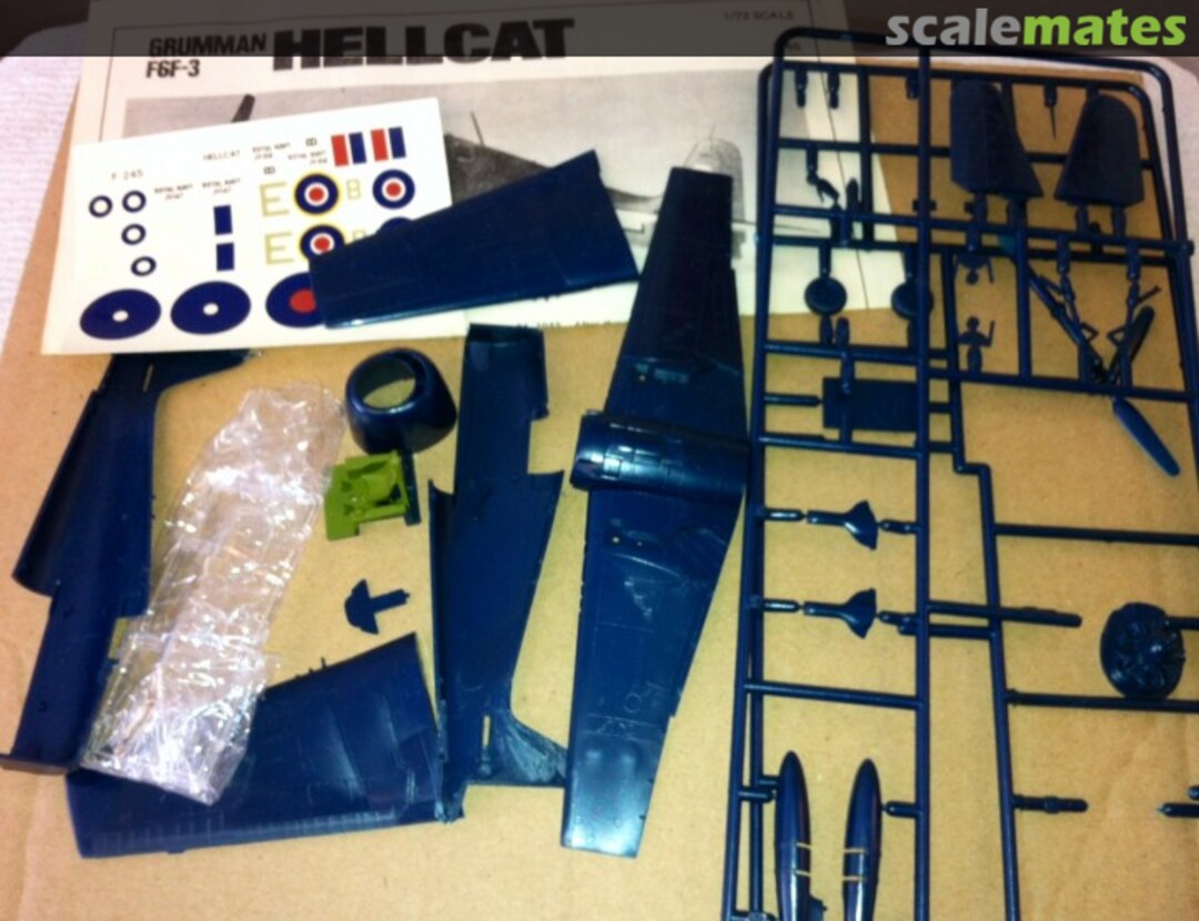 View album, image #1 View album, image #1