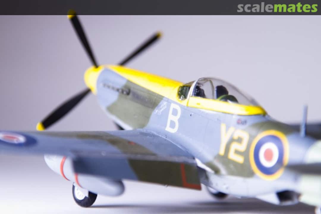 View album, image #4 View album, image #4