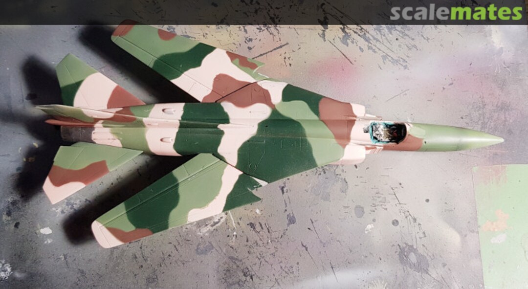 View album, image #4 View album, image #4