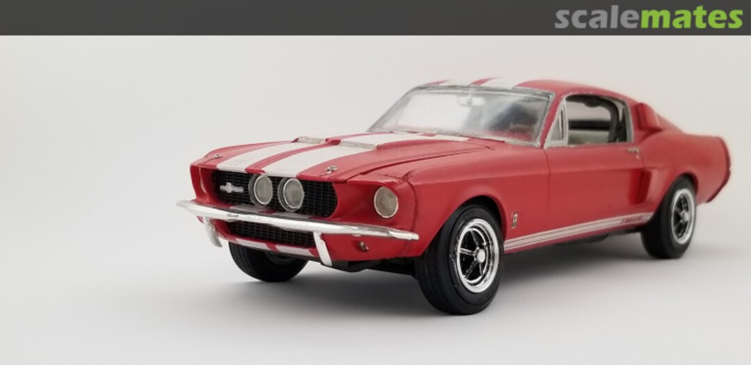 View album, image #1 View album, image #1