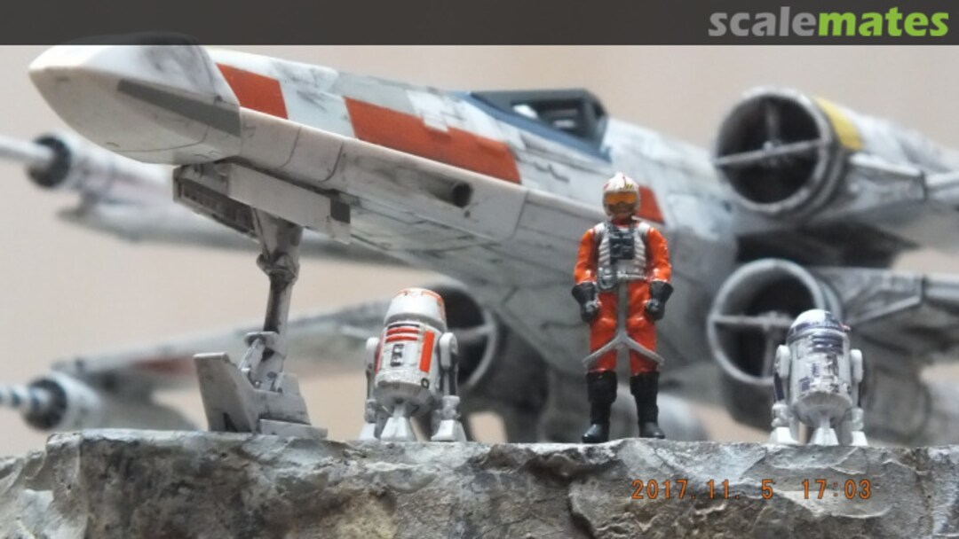 View album, image #4