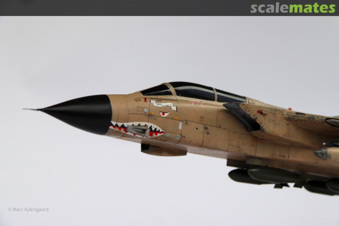 View album, image #1