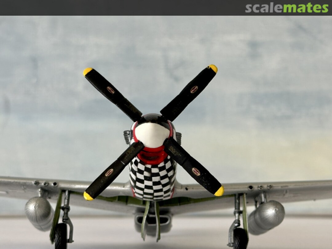 View album, image #3 View album, image #3