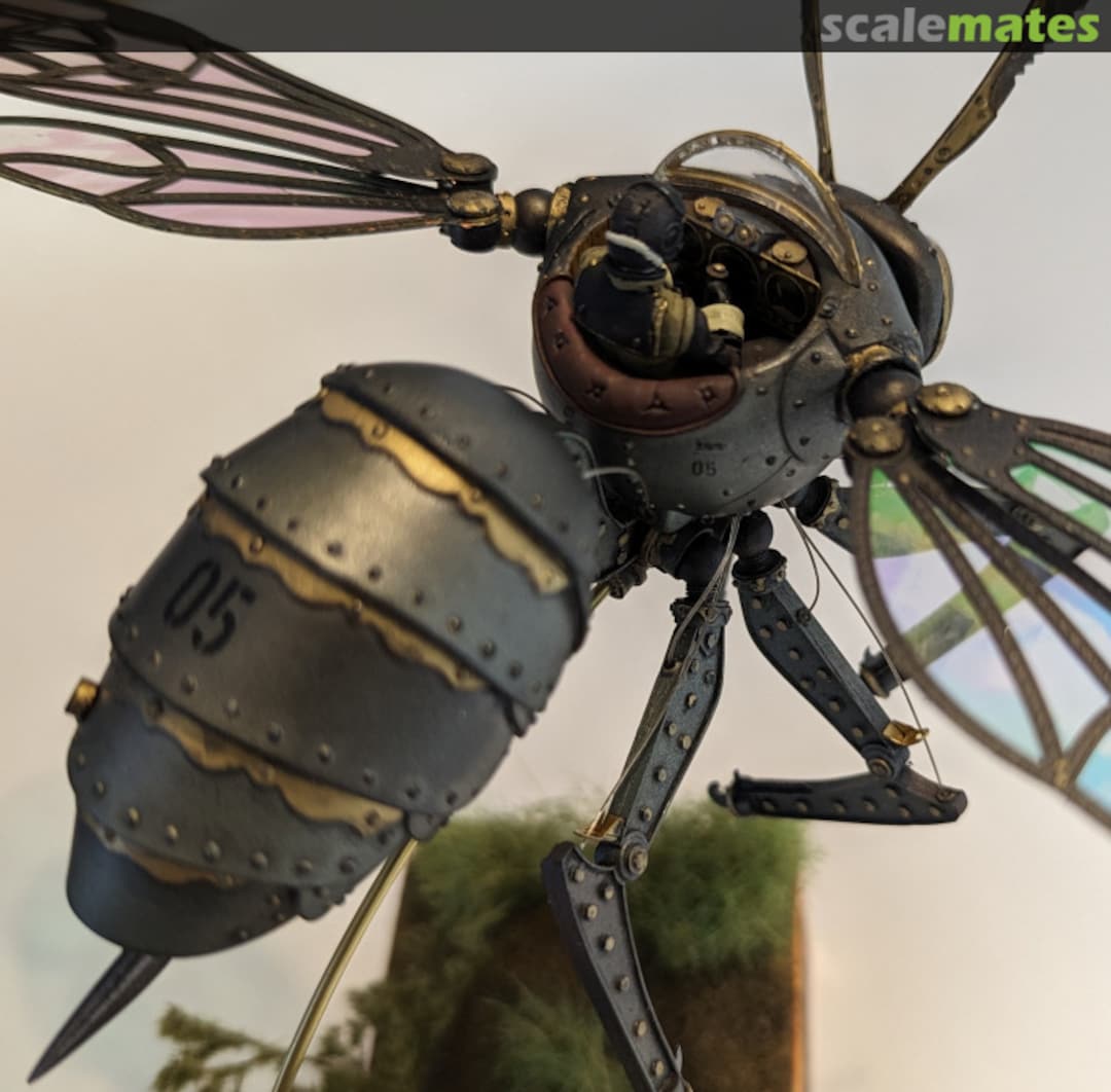 View album, image #1 View album, image #1