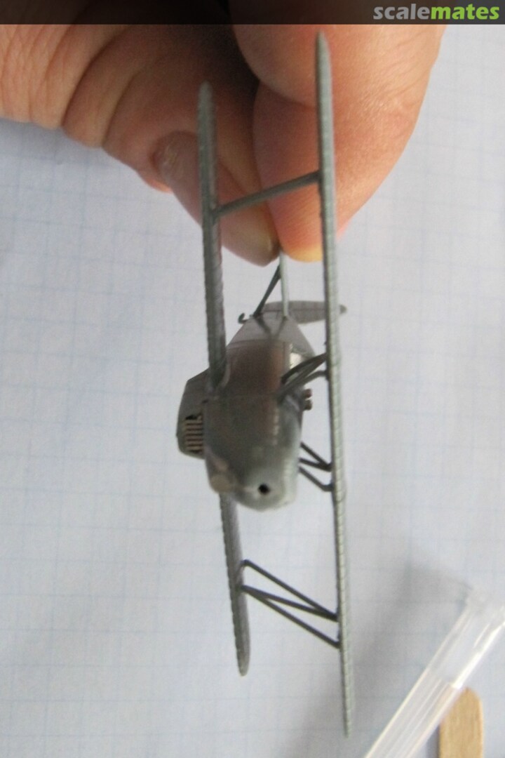 View album, image #7 View album, image #7