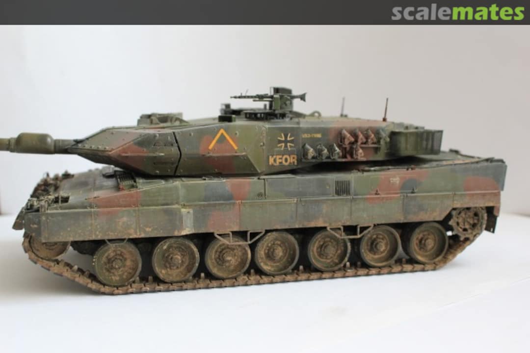 View album, image #58 View album, image #58