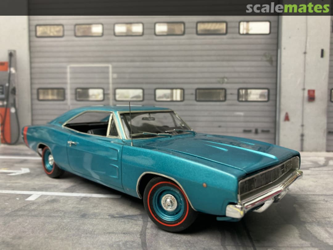 View album, image #1 View album, image #1