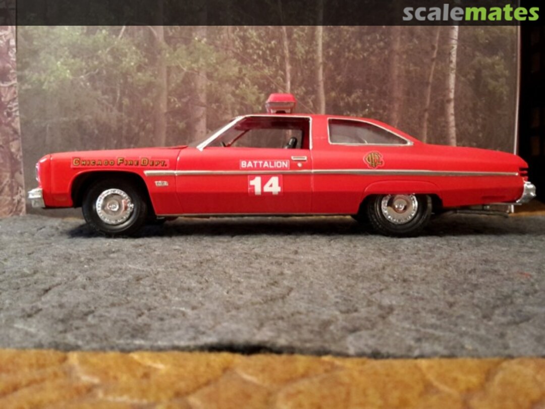 View album, image #1 View album, image #1