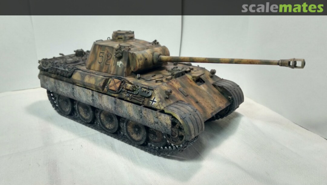 View album, image #1