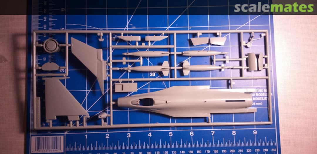 View album, image #2 View album, image #2