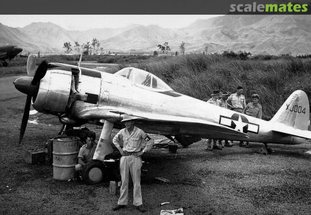 View album, image #1 View album, image #1