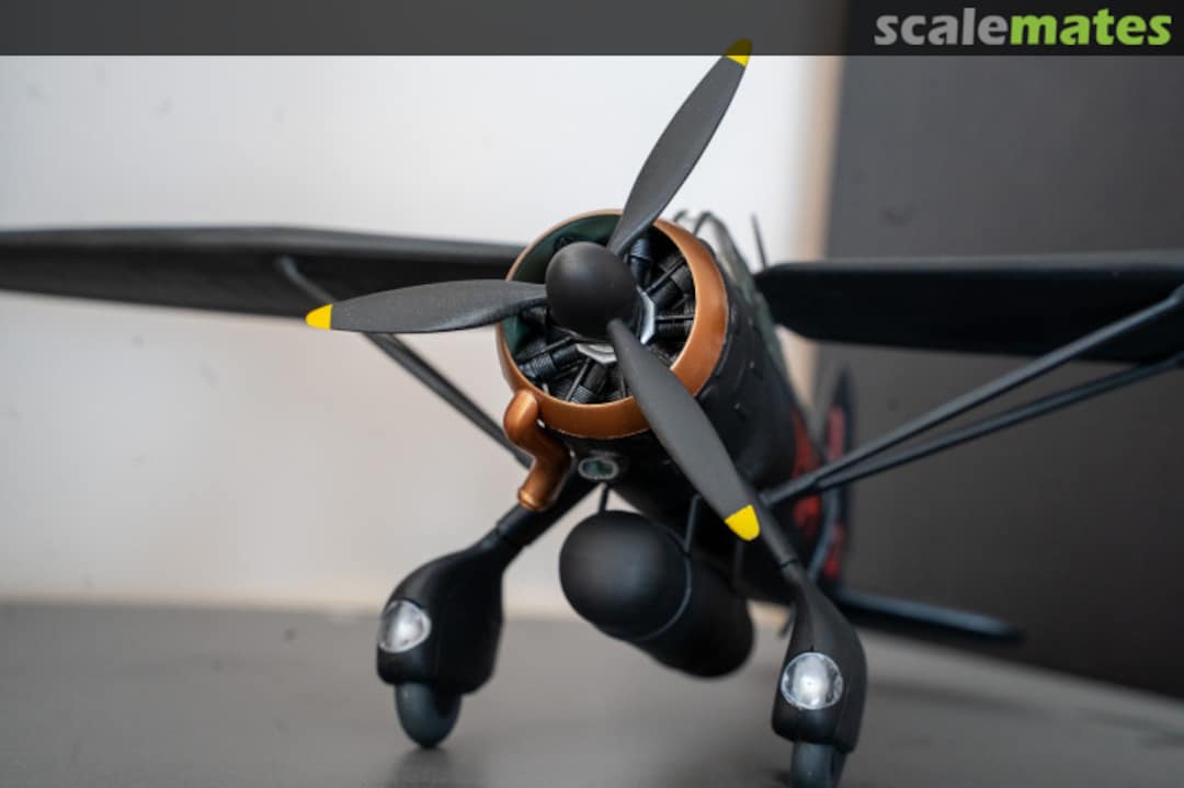 View album, image #17 View album, image #17