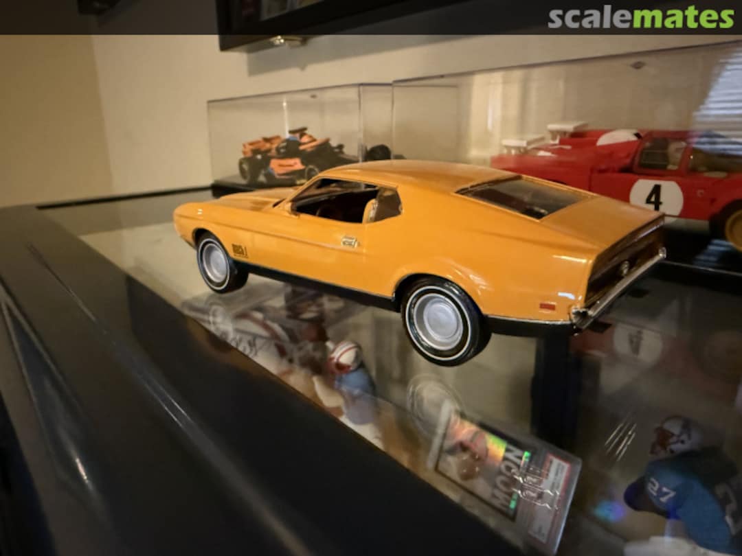 View album, image #1 View album, image #1