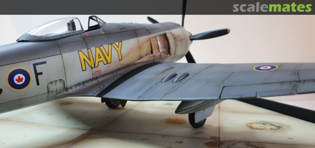 View album, image #1