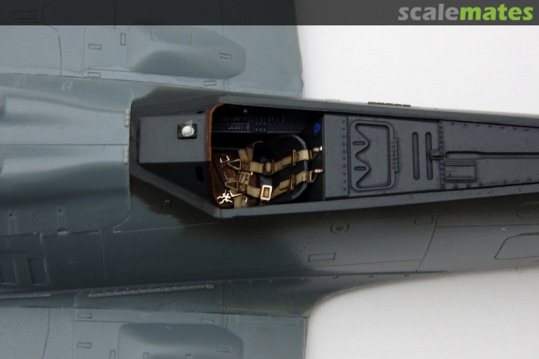 View album, image #6 View album, image #6