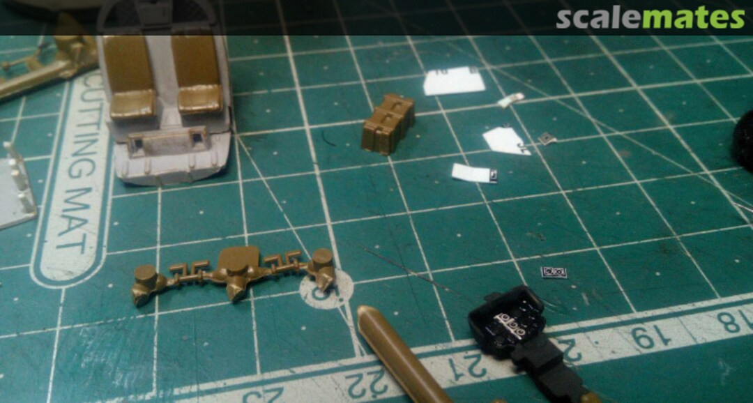 View album, image #1 View album, image #1