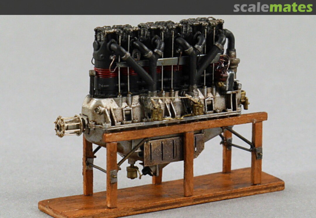 View album, image #6 View album, image #6