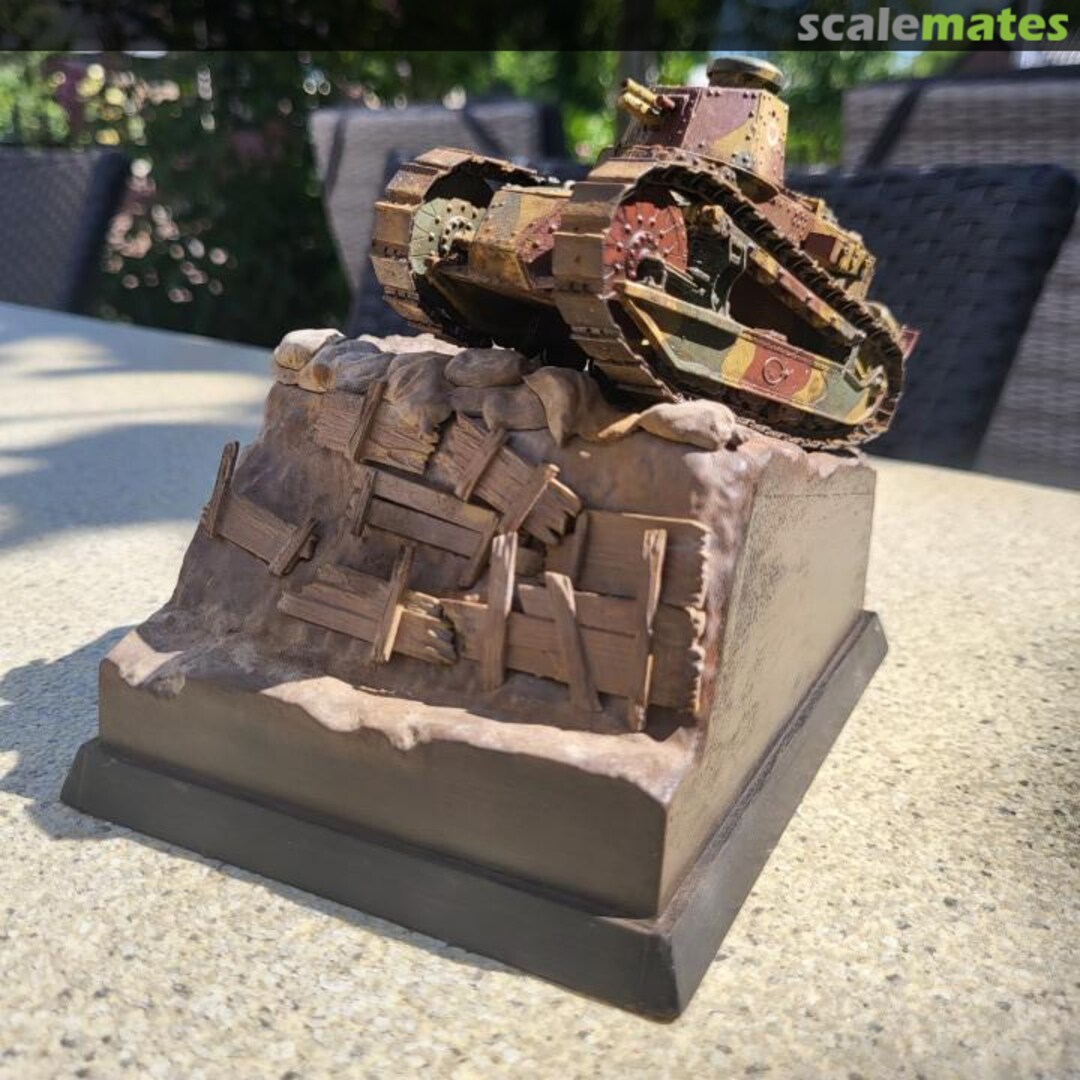 View album, image #12 View album, image #12