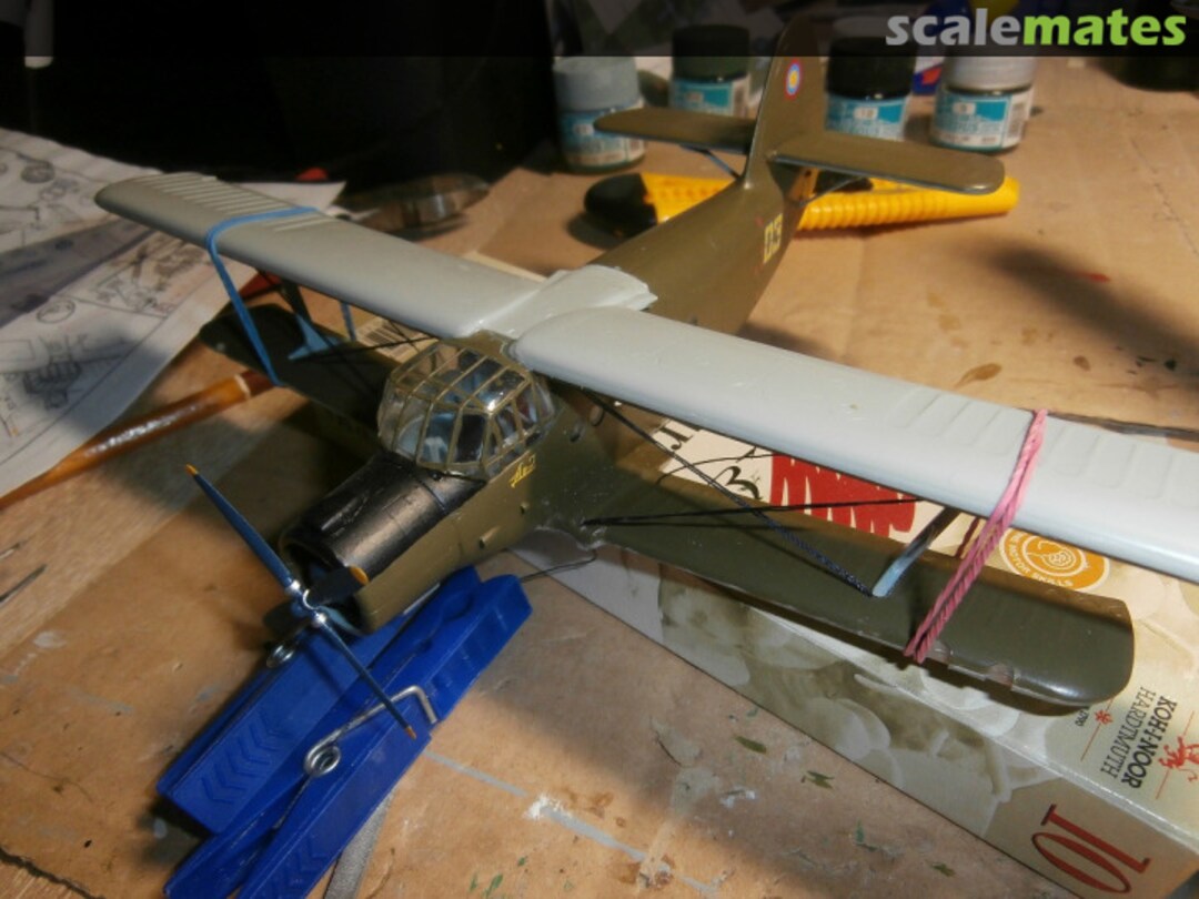 View album, image #27 View album, image #27