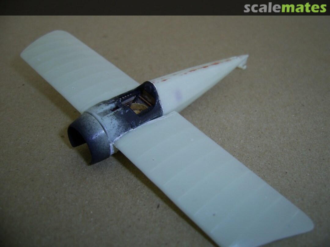 View album, image #1 View album, image #1