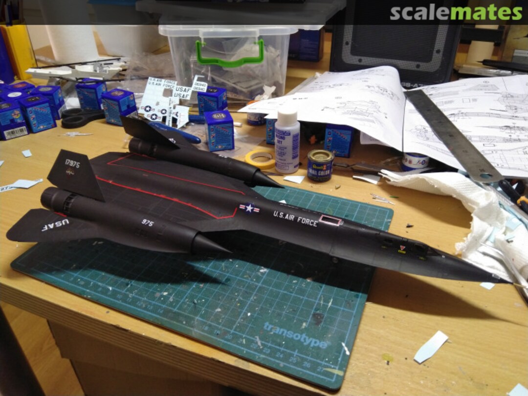 View album, image #10 View album, image #10