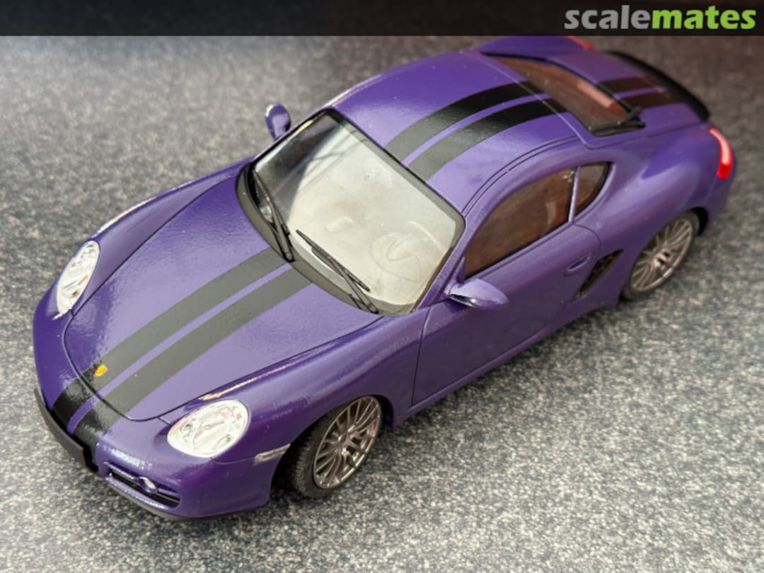 View album, image #6 View album, image #6