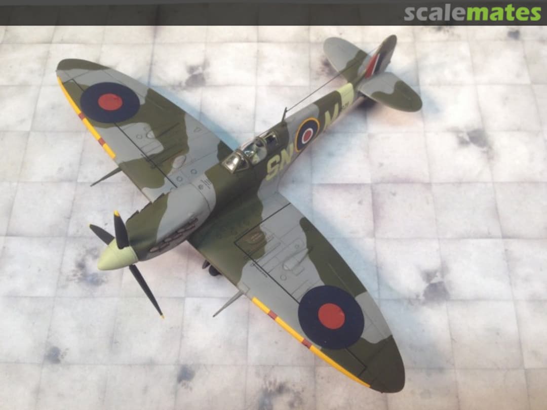 View album, image #1 View album, image #1