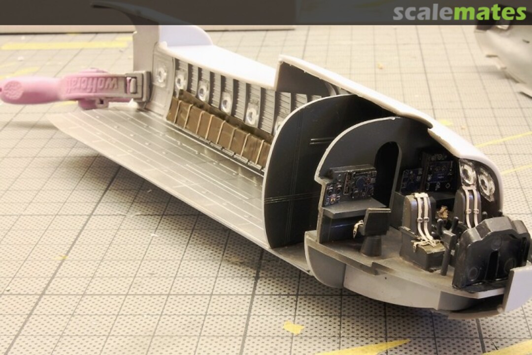 View album, image #1 View album, image #1