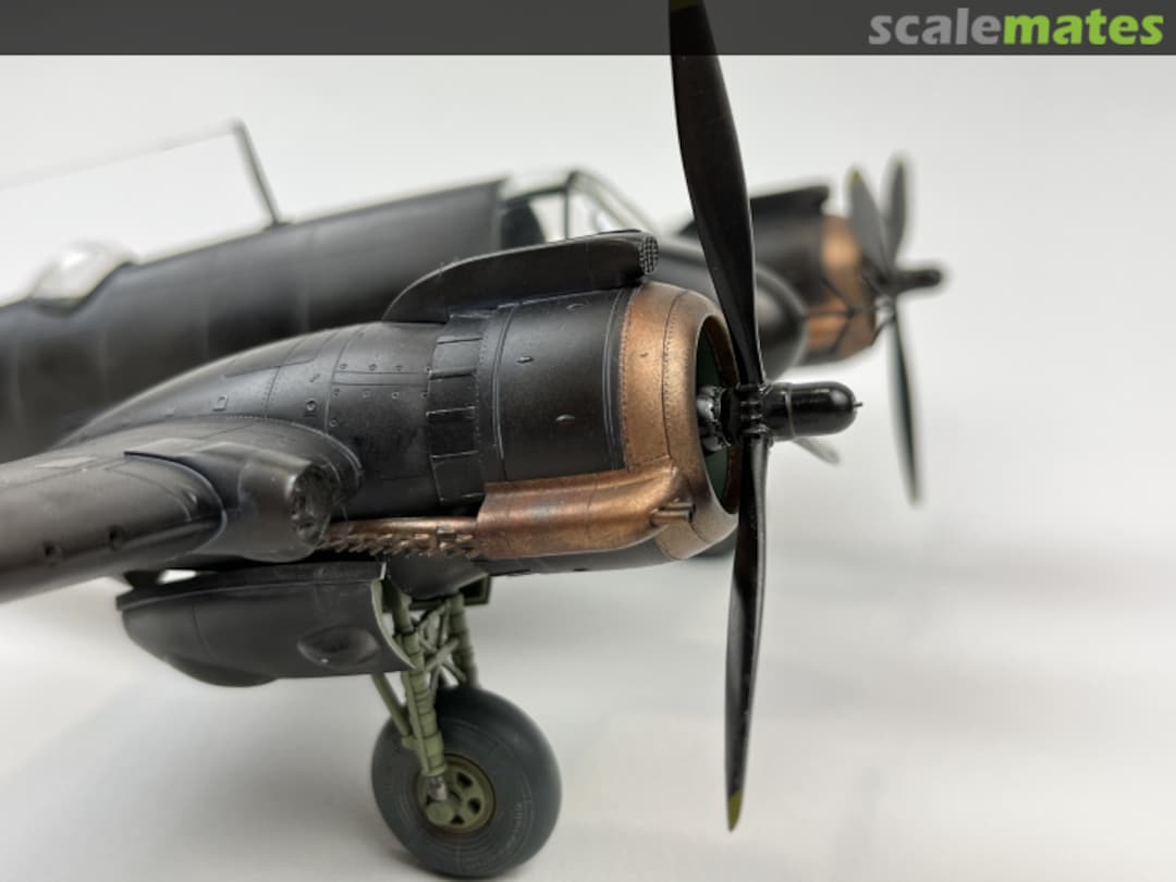 View album, image #11