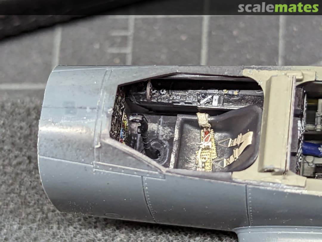 View album, image #1 View album, image #1