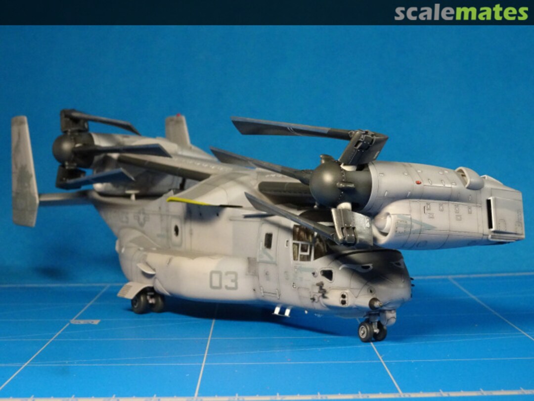 View album, image #16 View album, image #16