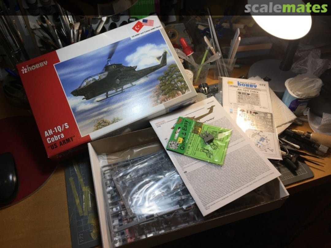 View album, image #1 View album, image #1