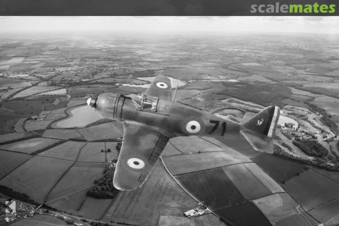 View album, image #7 View album, image #7