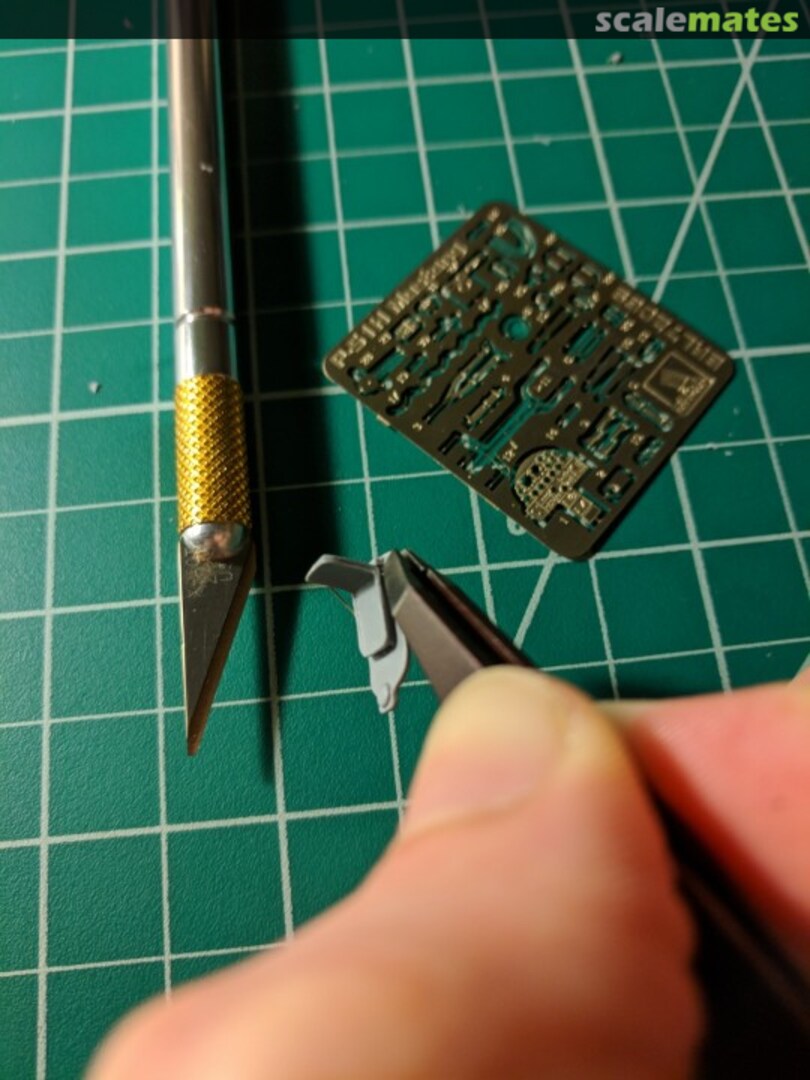 View album, image #1 View album, image #1