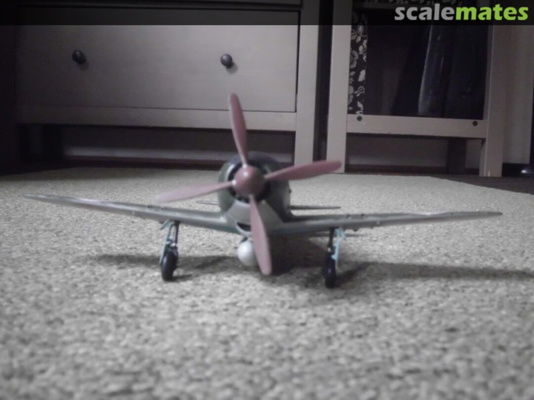 View album, image #1 View album, image #1