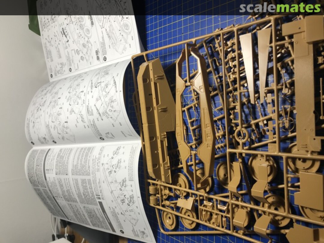 View album, image #1 View album, image #1