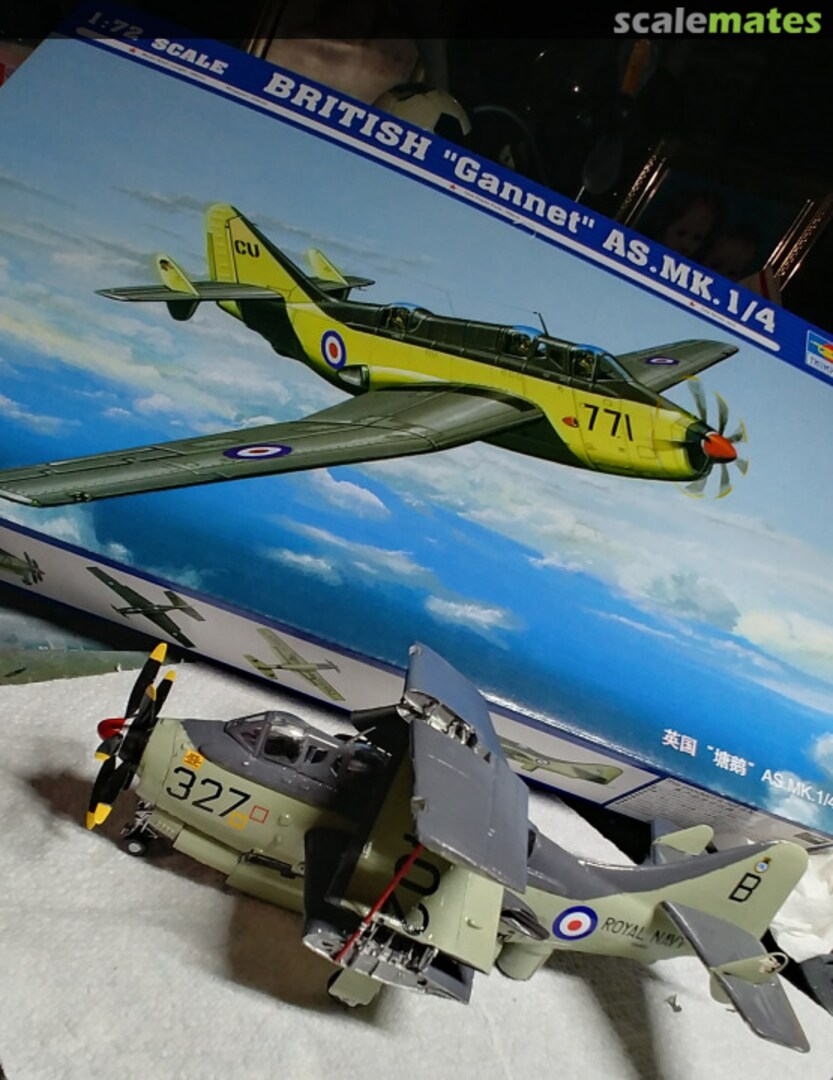 View album, image #1 View album, image #1