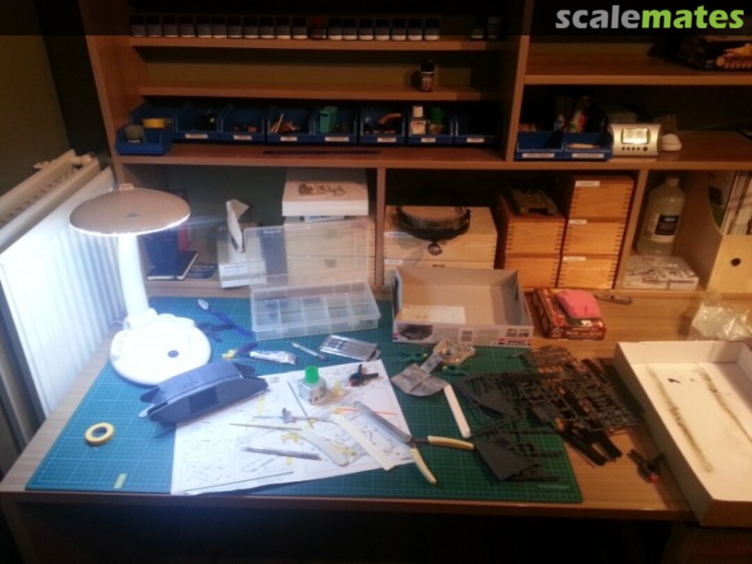 View album, image #1