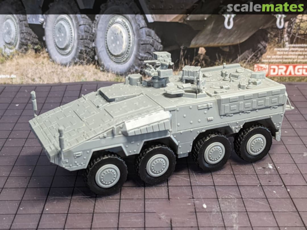 View album, image #1 View album, image #1